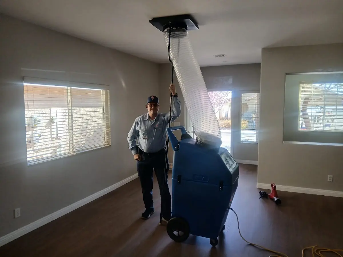 Professional Dryer Vent Cleaning work inside a Dumbarton home